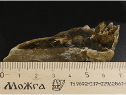 Гипс, кристалл, Россия, Ставропольский край (70*29*10 мм, 22 г) №29479