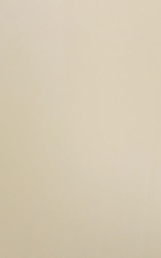 Тон "ЖЕМЧУЖНЫЙ"