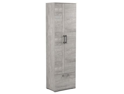 Молодёжная ДЕНВЕР - Д-2 Шкаф для одежды