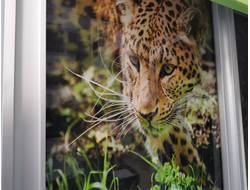 Фотопечать для шкафов-купе