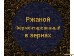 Солод ржаной ферментированный (EBC 150), 1 кг (Киров)