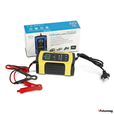 Зарядное устройство для свинцовых тяговых аккумуляторов SKN ZYX-J10 12V 6A (4Ah-100Ah)