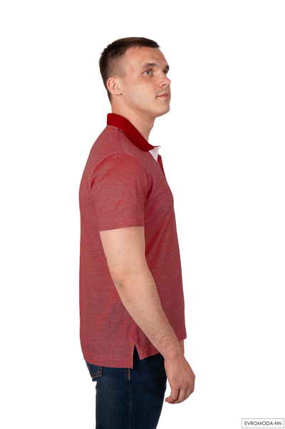 Поло мужское Пило-F13