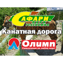 КАНАТНАЯ ДОРОГА