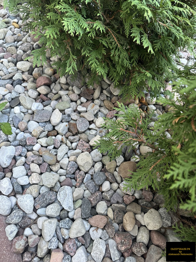 натуральная галька