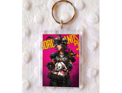 Брелок акриловый Borderlands, Бордерленд №2