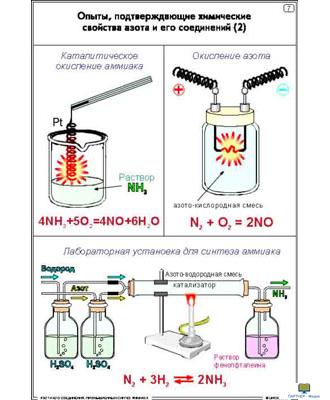 Азот и его соединения. Промышленный синтез аммиака  (16 шт), комплект кодотранспарантов (фолий, прозрачных пленок)