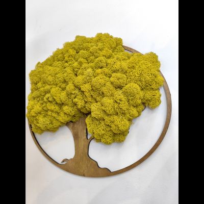 ЖИВАЯ ЭКО-КАРТИНА 1008