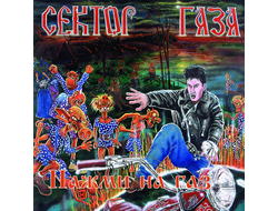 Плакат Сектор Газа, Юрий Хой №8