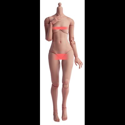 Тело женское 1/6 (AT203T) - Girl Body Light Tan  - Worldbox