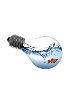 ЭЛЕМЕНТЫ ПОДВОДНОГО ОСВЕЩЕНИЯ