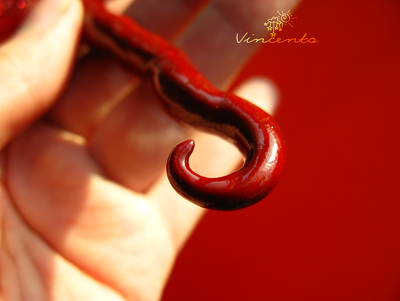 Перчик чили. Авторская подвеска из полимерной глины