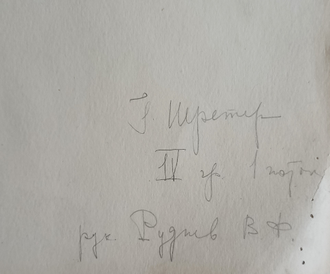 "Женский портрет" бумага карандаш Шретер (Войцкевич) Г.Л. 1963 год