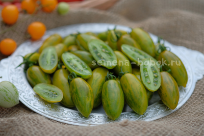 Томат Favorie de Bretagne (Фаворье де Бретань), 10 шт