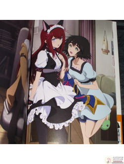 Оригинальный Арт Бук Steins;Gate Soushisouai no True Memories (Врата; Штейна)
