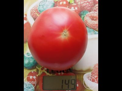 Томат Июнь розовый (June Pink)