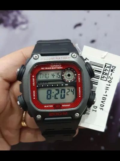 Часы Casio DW-291H-1B