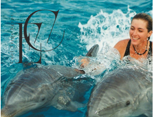 Плавание с дельфинами (15 минут)  в дельфинарии Шарм Эль Шейха