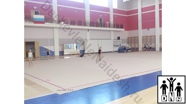 Ковер для художественной гимнастики