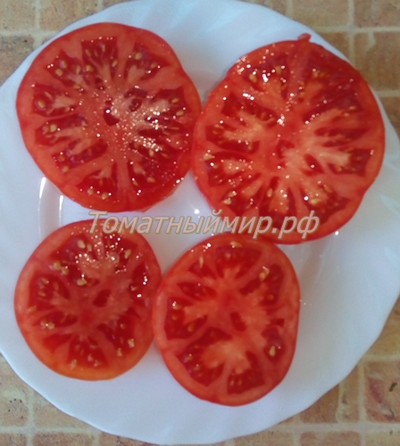 Томат Гном Арктическая Роза, Dwarf Arctic Rose