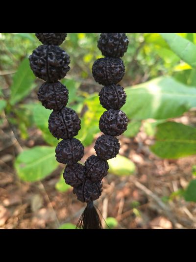 Четки из натуральной крупной Рудракши 108 бусин черные