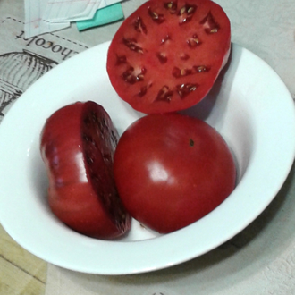 Семена томата Акми