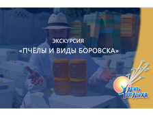 Экскурсия "Пчёлы и виды Боровска"