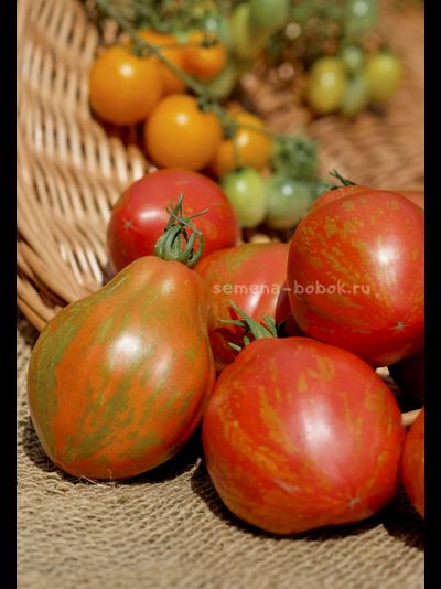 Томат Огненный шар (Palla di fuoco), 10 шт