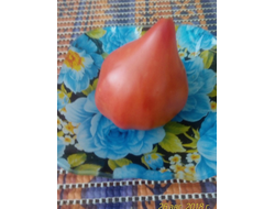 Томат Черное сердце с носиком от Борисовны (усл)