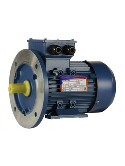 Электродвигатель 5АИ 71А4 (0,55 кВт) IM 2081