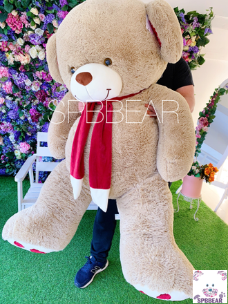 Гигантский медведь 190 см кремовый с шарфом Кевин