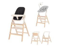 Стульчик для кормления 4в1 Carrello Ergo CRL-16701 Obsidian Black