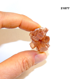 Арагонит натуральный (кристалл) арт.21877: 12,2г - 26*23*19мм