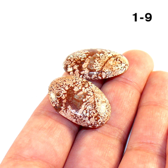 Коралл натуральный окаменелый (кабошон) №1-9: 5,2г - 2 шт. 25*18*5мм