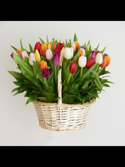 Корзина ярких тюльпанов