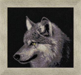 Серый волк ДЖ-015, Золотое Руно