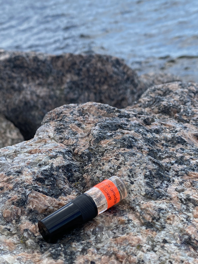 Духи АККОРД: ЧЁРНЫЕ КОШКИ 2,5 мл