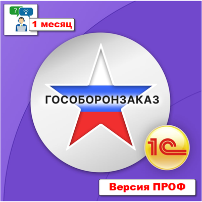 Поддержка: Консультации и сопровождение ПРОФ - 1 месяц
