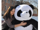 Большая панда 180 см