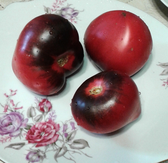 Семена томата Черная магия