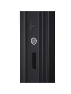 Стальная дверь   Plata (биометрический замок Smart lock Y23)