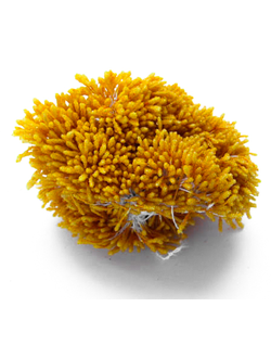 Тычинки Сахарные около 140 нитей , цвет охра