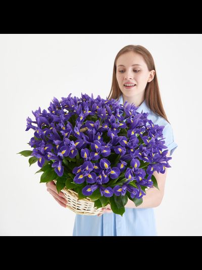 51 ирис в корзине