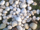 Галька кварцевая крупная