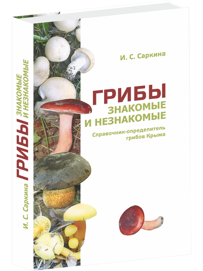 Грибы знакомые и незнакомые