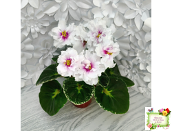 Р-В Стране Чудес (В.Зуб) 2023 г.