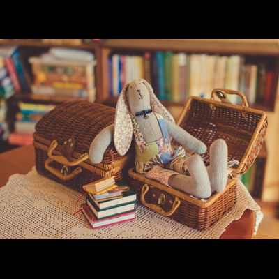 D0310 Заяц в сундуке