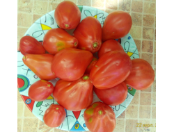 Томат Трюфель густо-малиновый