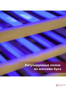 Винный шкаф Cold Vine C38-KSF2