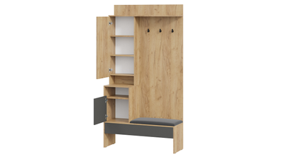 Прихожая Эвита Тип 2 - Секция комбинированная Тип 2 Дуб Крафт золотой/Графит